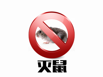 滅鼠服務